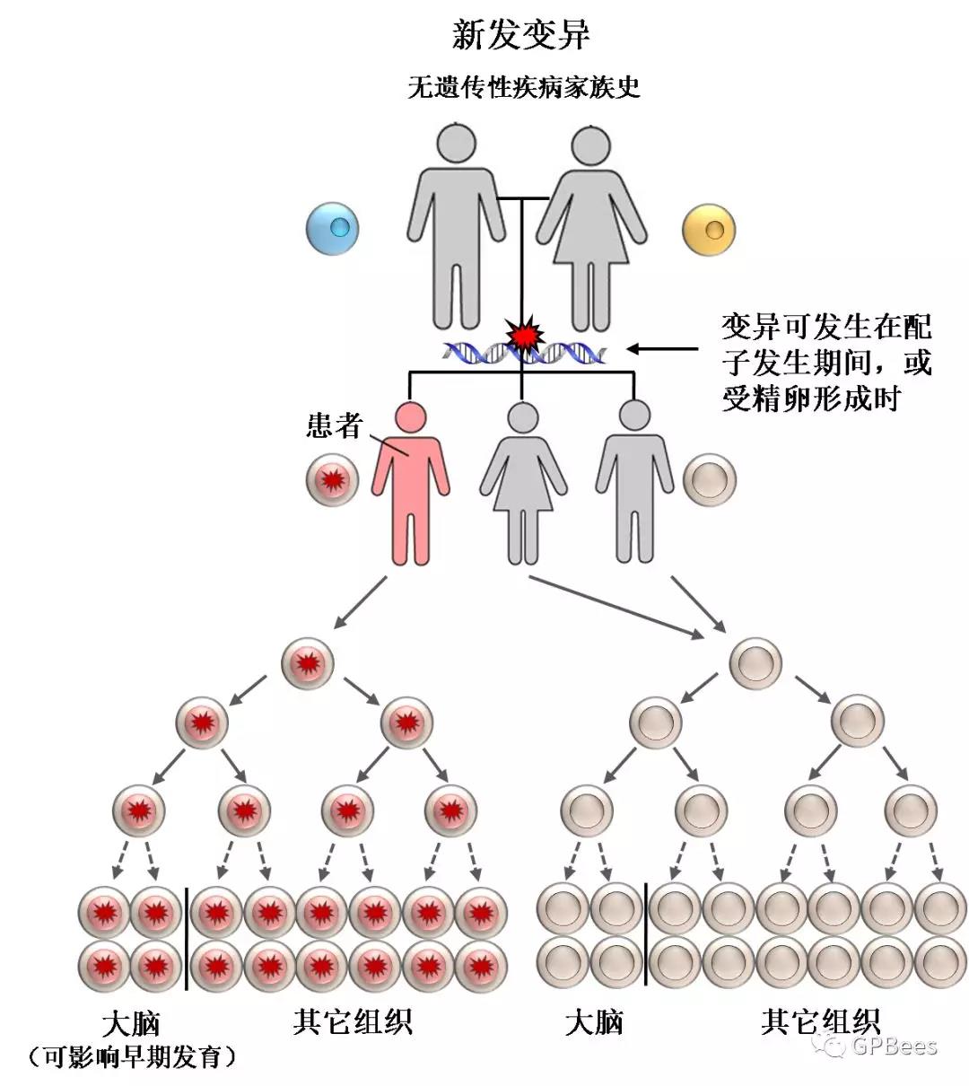 psymukb:神经精神疾病知识库助力遗传探索和临床发现